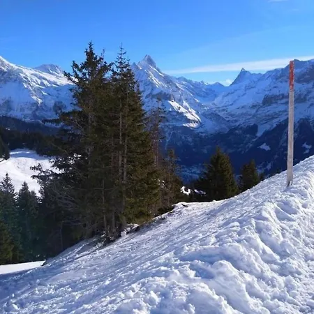 Chalet Stieregg, Studio West *